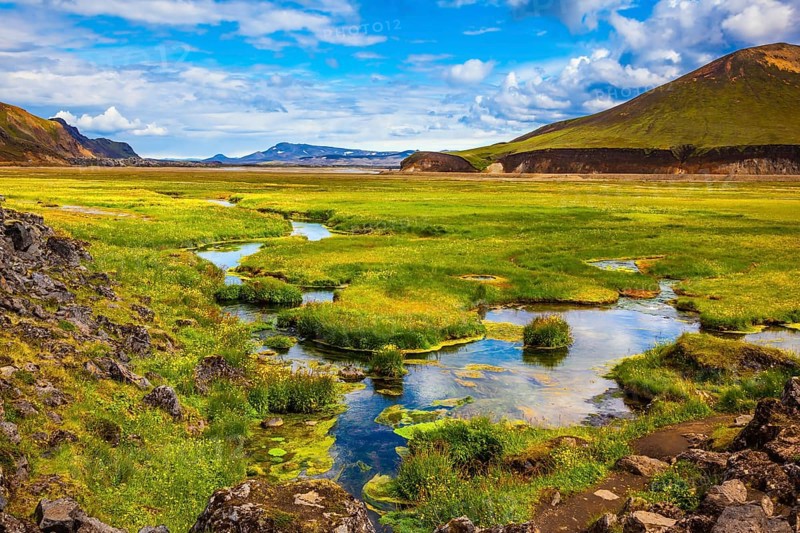 The picturesque valley in Landmannalaugar national park. Summer in Iceland. Green grass among the thermal springs