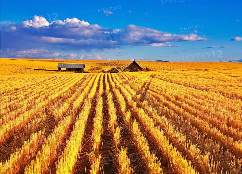 Solar autumn midday on fields of Montana