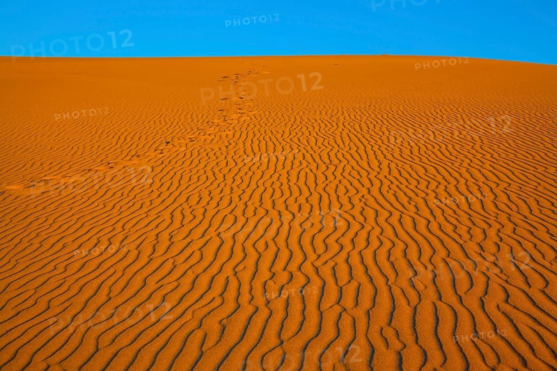 The small waves of orange sand. Early morning in a picturesque part of Death Valley, USA. Mesquite Flat Sand Dunes