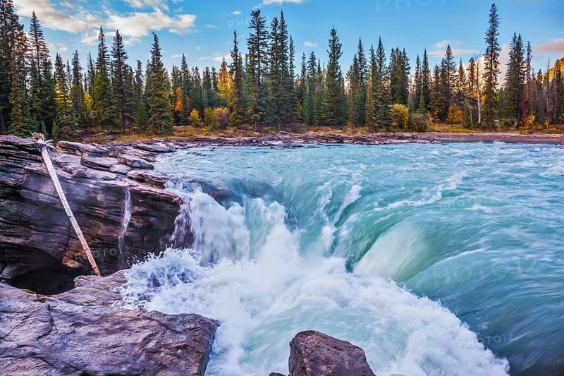 Scenic Athabasca Falls in Jasper National Park. Emerald water roars and foams on steep slope
