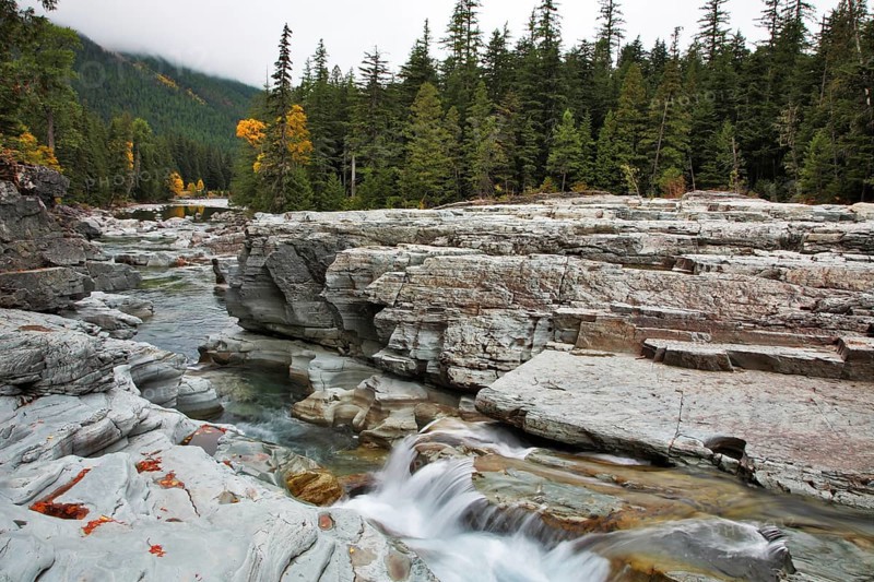 Cold small pond in an autumn forest in Canada