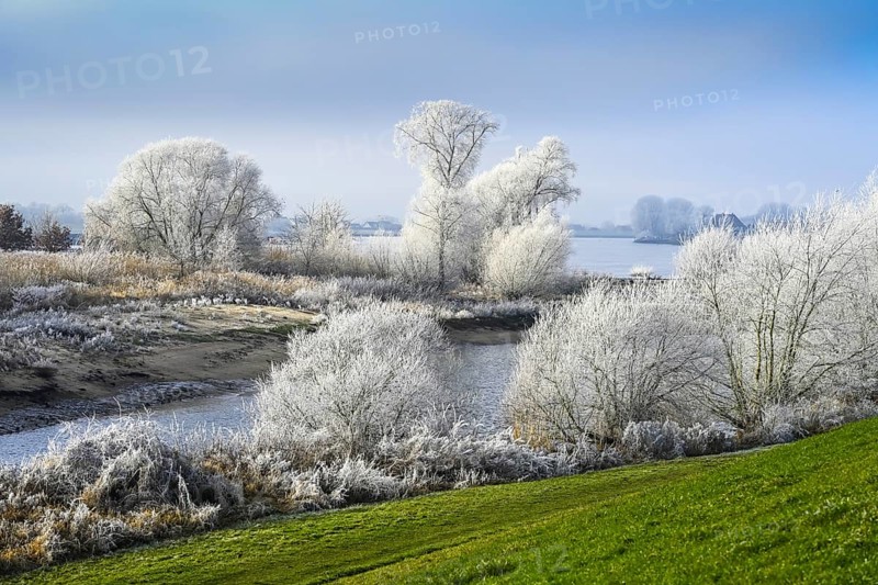 Zollenspieker nature reserve on the Elbe in Kirchwerder, Hamburg, Germany