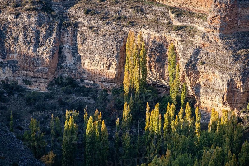 Las Hoces del Río Duratón Natural Park, Segovia province, Spain