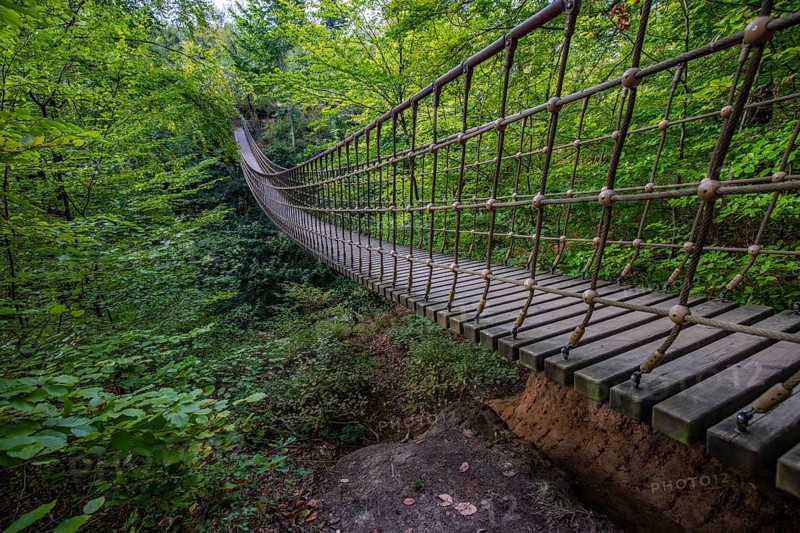 Wooden suspension bridge over a gorge, beautiful nature and trees in the Hunsrück, Germany