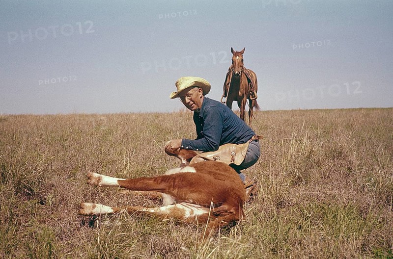 USA Oklahoma. A cowboy with a calf. 1959. Kodachrome slide original. Credit Roland Palm ref 6-9-4