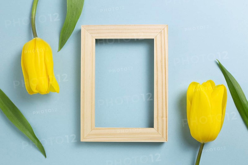 Wooden photo frame with yellow tulip flowers on blue background. top view, copy space