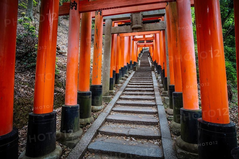 Red Tori Gate at Fushimi Inari Shrine in Kyoto, Japan. One of the largest tourist attractions in Japan