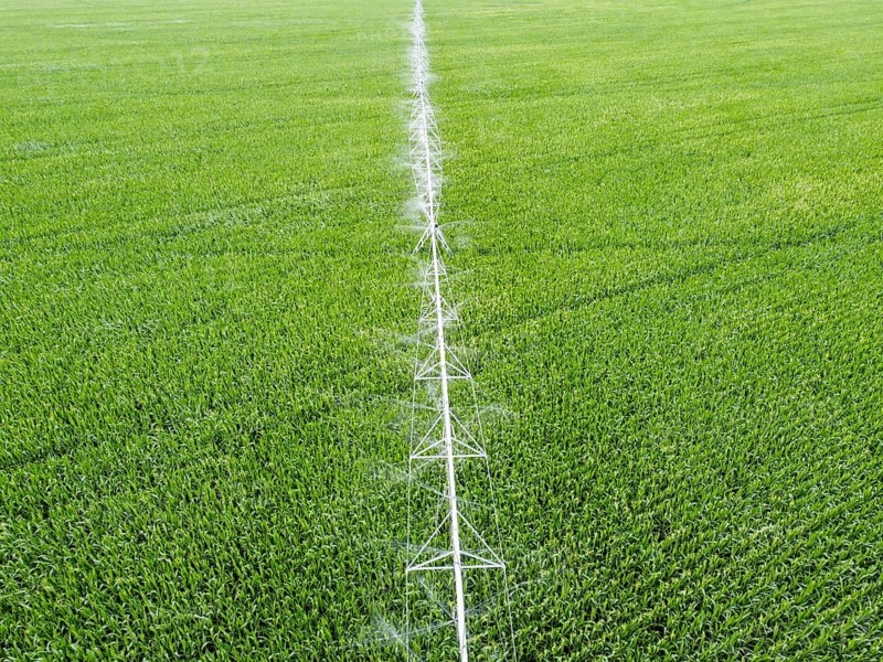 Irrigation system over corn field, top view