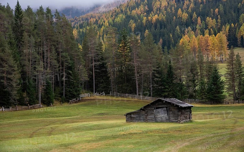 Abandoned wooden farm house in the farmland surrounded by forest trees in autumn. Italian alps, Italy