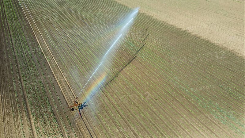 Irrigation equipment watering field. Aerial view. Irrigation of a young plants