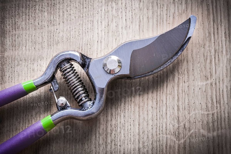 Sharp metal pruning shears on wooden board agriculture concept