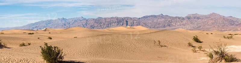 Scenic Mesquite Flat Sand Dunes in the Death Valley, USA
