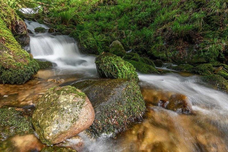 Mountain torrent in the Vosges. Charlemagne waterfall on the Vologne