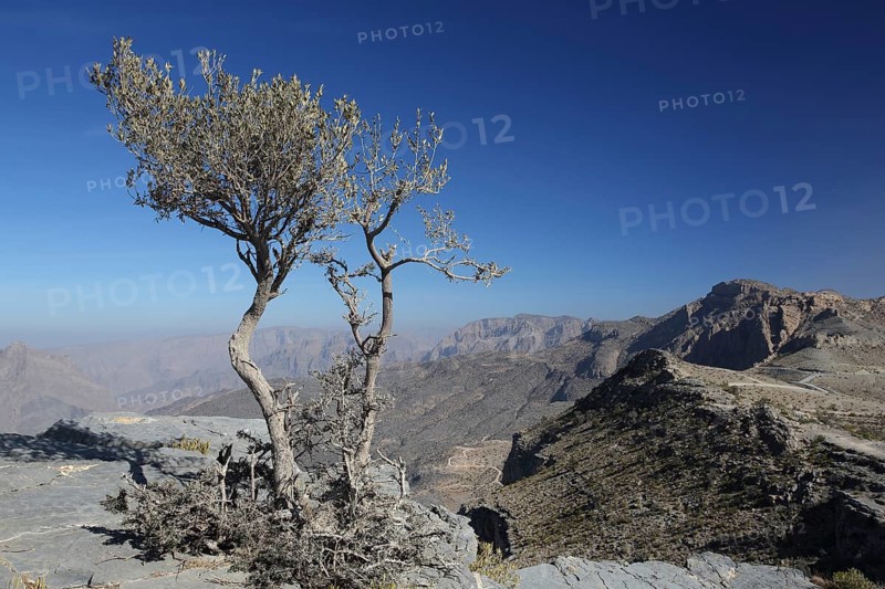 Wadi Bani Awf, Mountains, Oman
