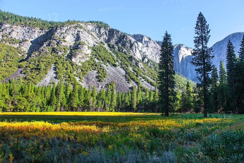 The monolithic rock El Capitan and majestic mountains surround the Yosemite Valley. The picturesque park in California, USA. The park is located on the slopes of the Snowy Mountains