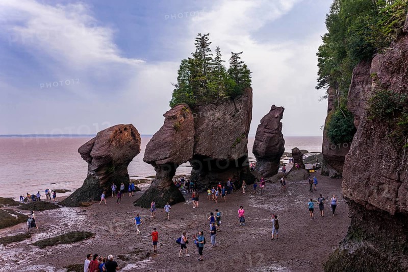 The distinctive sea staks and rock formations best known as Flowerpot Rocks in Hopwell Rocks Provincial Park in New Brunswick, Canada, North America