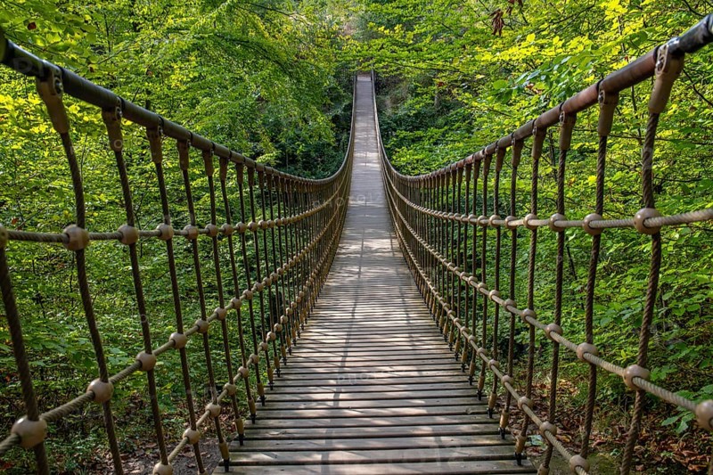 Wooden suspension bridge over a gorge, beautiful nature and trees in the Hunsrück, Germany