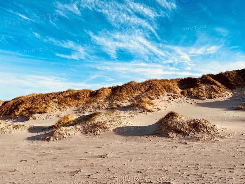 Idyllic sandy beach on the Danish North Sea can be seen stretching out under a bright blue sky