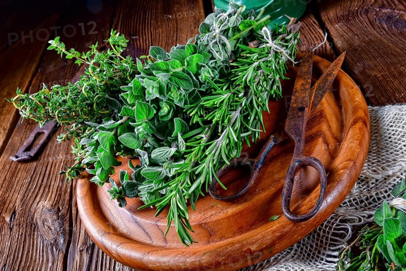 Herbal collection of: thyme, oregano, rosemary