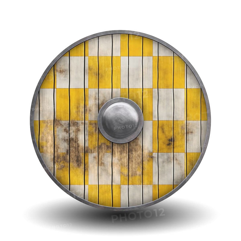 An illustration of a vintage wooden knight shield