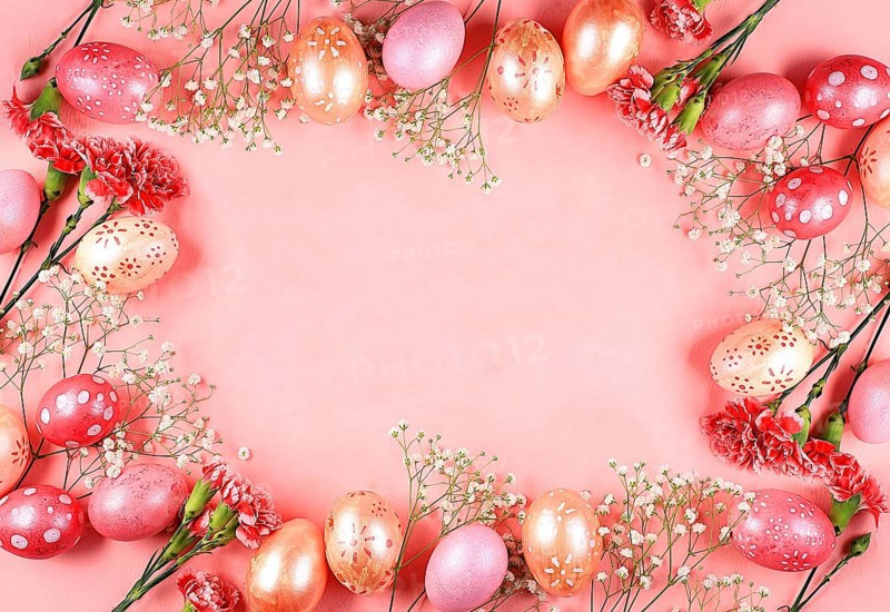 Abstract Easter composition, spring banner with carnation flowers and painted eggs with place for text, Easter holidays concept, greeting card, selective focus