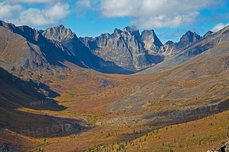 Tombstone territorial park, grizzly lake hike
