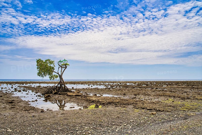 Beachsite near the former fisher-village Pemuteran at the North of Bali island. There was a Hindu shrine set at the beach. Reupload after color correction