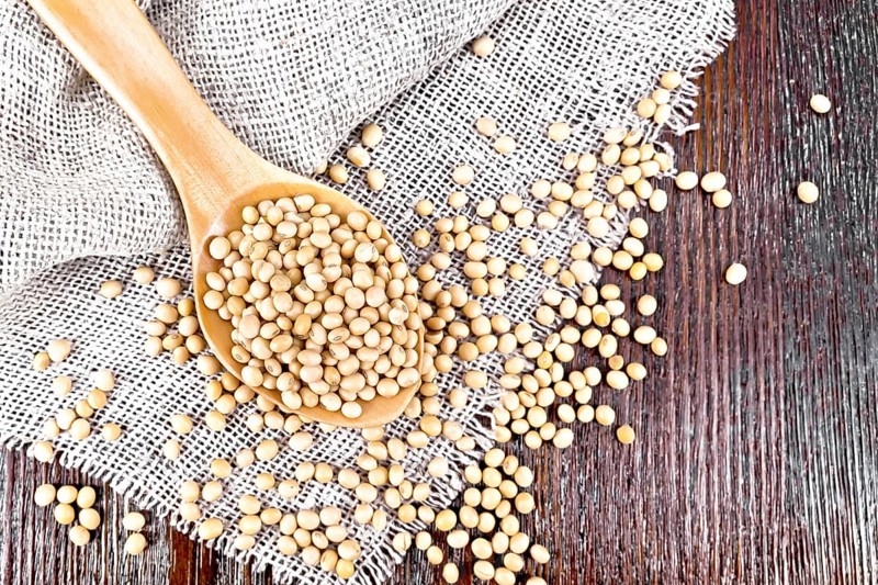 Soy beans in a spoon on sacking on a dark wooden board background from above