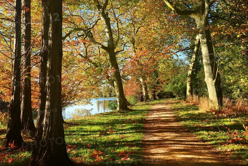Hiking trail in autumn