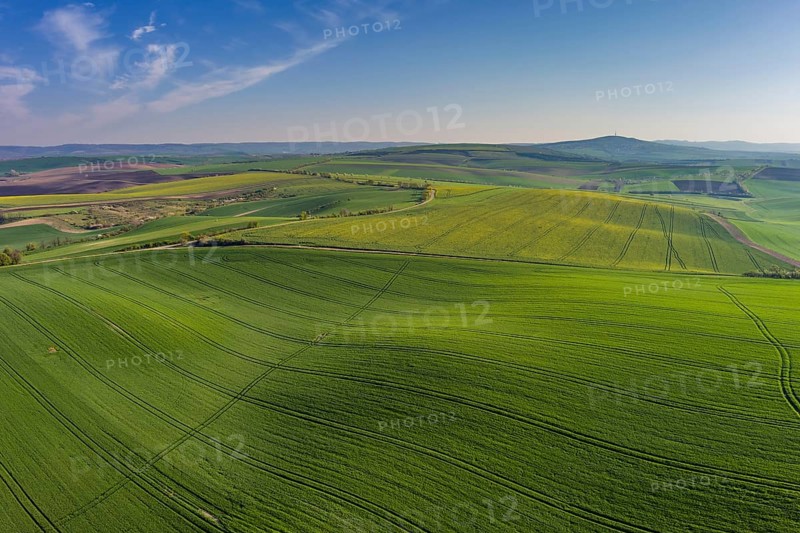 Aerial view of amazing green wavy hills with agricultural fields in spring. South Moravia region, Czech Republic