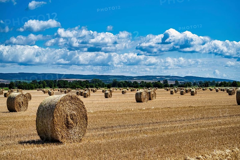 A view of a field with round straw bales under a blue sky