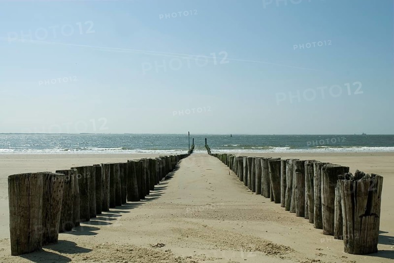 Wooden poles on the beach to break the waves