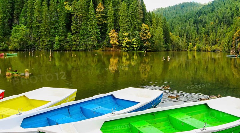 Lacu Rosu, Red Lake, Carpathian Mountains, Moldavia Region, Romania