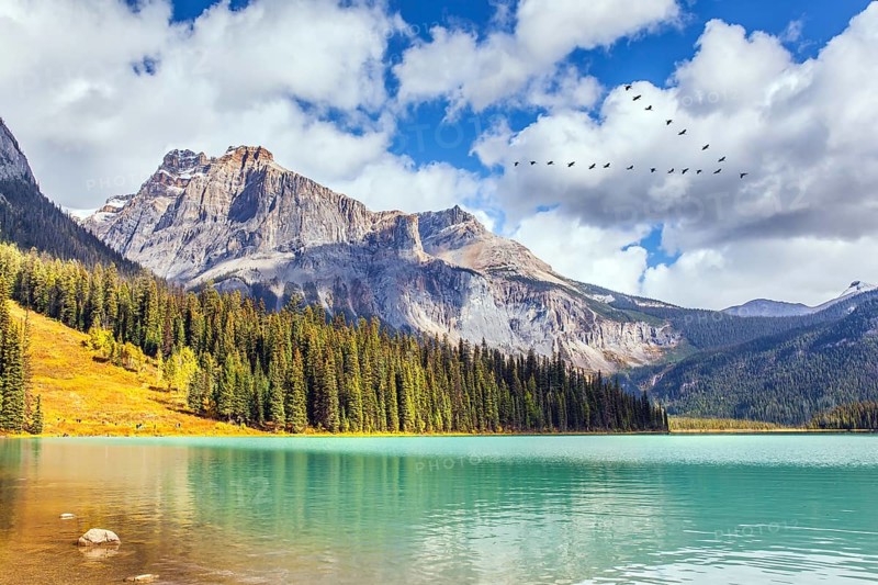 Magnificent Emerald Lake. Picturesque huge lake in the Canadian Rockies. Early morning. Coniferous forest and mountain peaks surround the lake with azure water