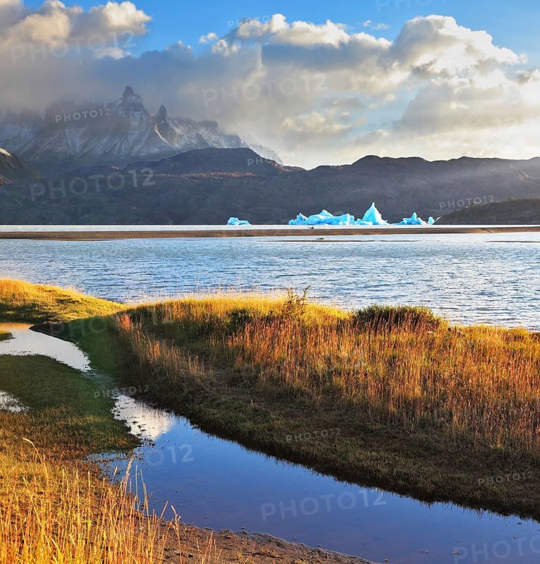 Gray lake and snow-capped mountains. Blue iceberg floating in the distance. Warm summer sunset light illuminates the grassy bank. National Park Torres del Paine, Chile
