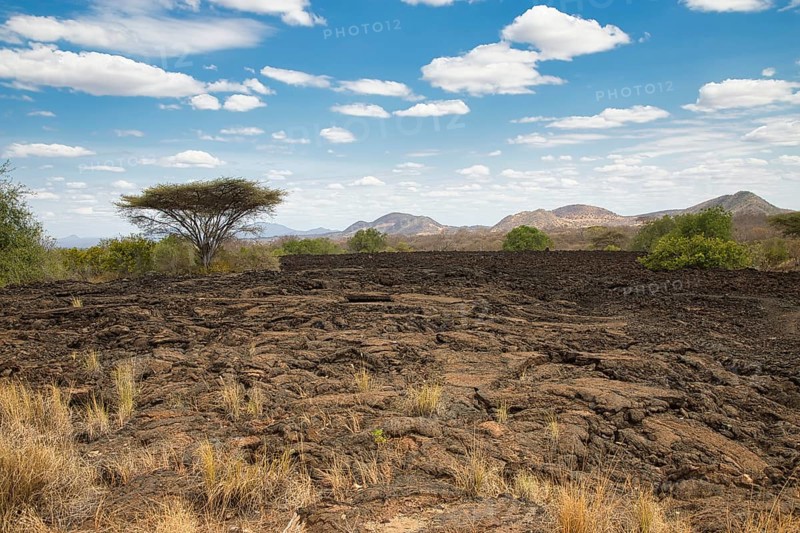 Landscape at the Shetani lava field, Tsavo West National Park, Kenya