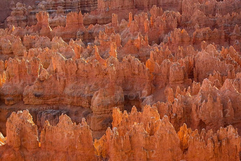 Bryce Canyon, Utah, USA