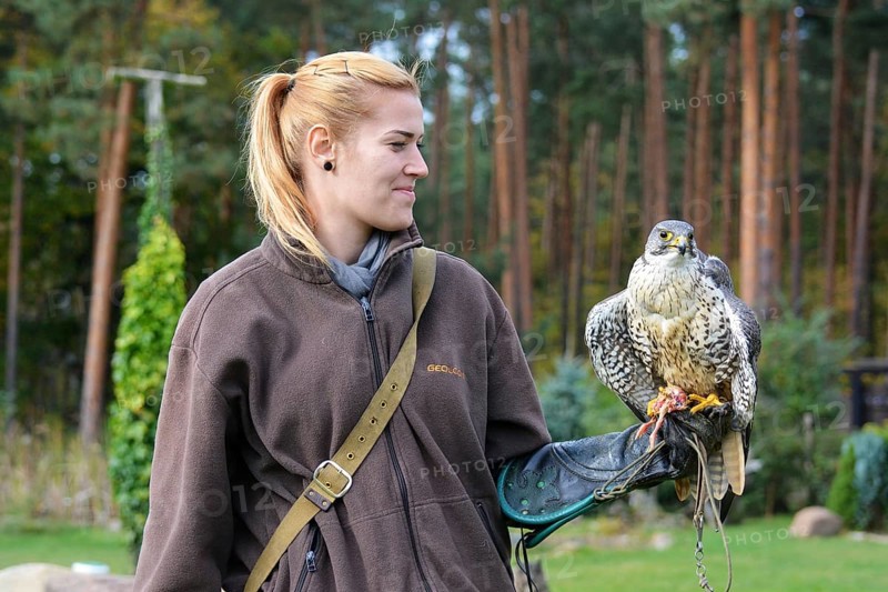 Animal keeper apprentice Nadin with saker falcons Skiure