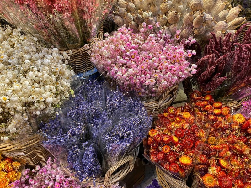 Flower Market in Amsterdam. It is the only floating flower market in the world, and one of the most fragrant places of interest of Amsterdam - in all seasons