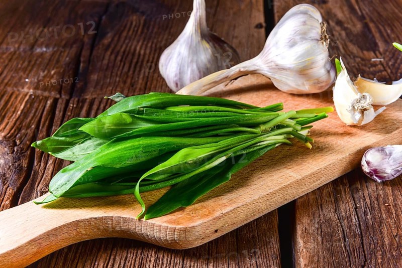 Fresh and tasty wild garlic
