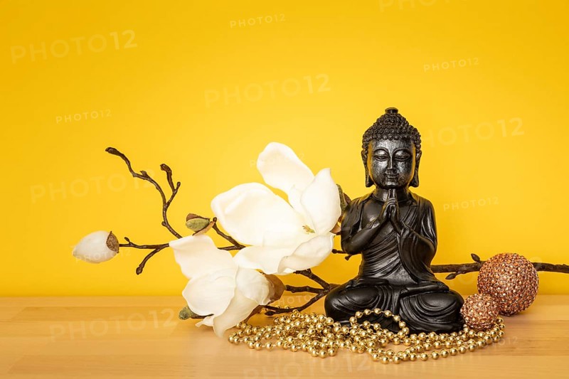 An image of a buddha statue sign for peace and wisdom