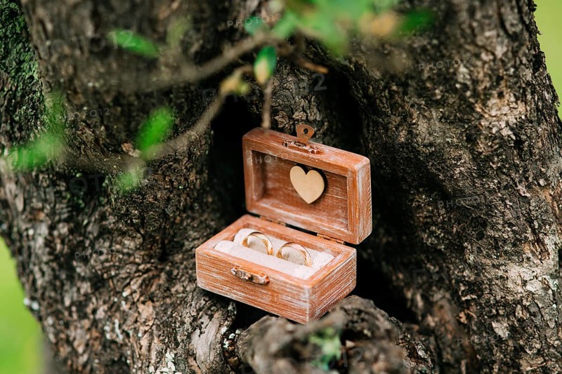 Wedding rings in a wooden box for rings handmade in the grass