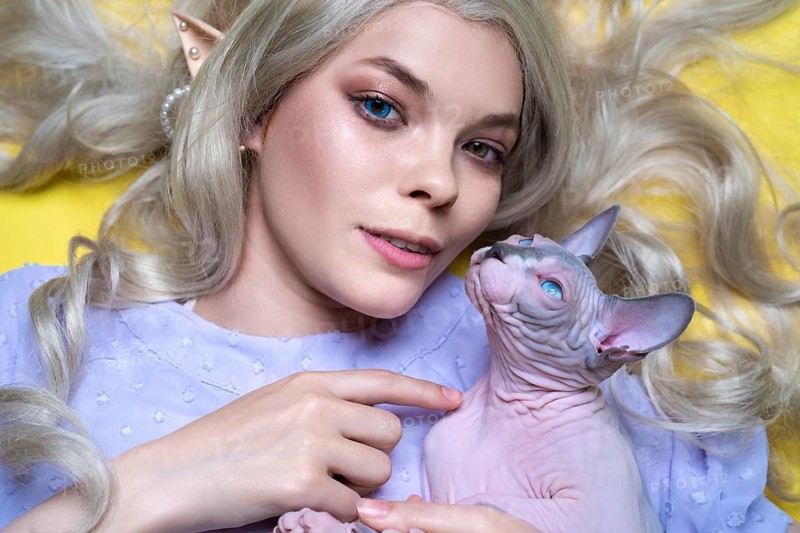 Portrait of cosplay elf young woman in blue dress, with luxury curly blonde long hair, different colors eyes, pierced ears. She points finger at Sphinx cat, who looks at her. Yellow background