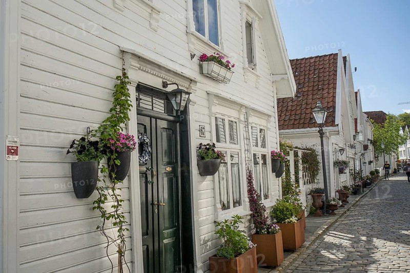 Narrow alley with white houses and many blooming flowers in pots, stavanger, norway