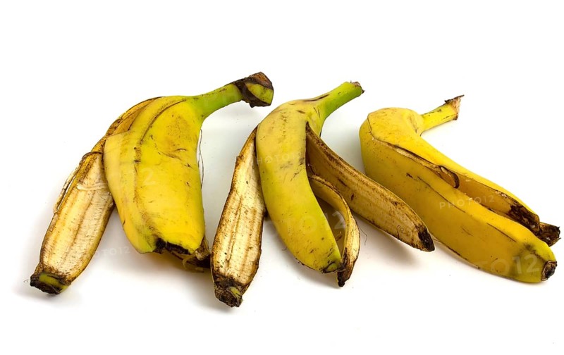 Three peels from bananas that begin to rot. Organic fruit waste isolated on white background