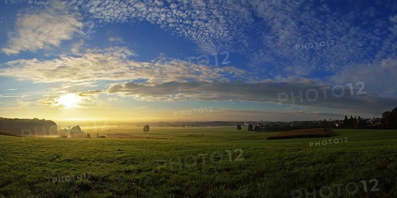 Morning atmosphere in the Altshausener Ried
