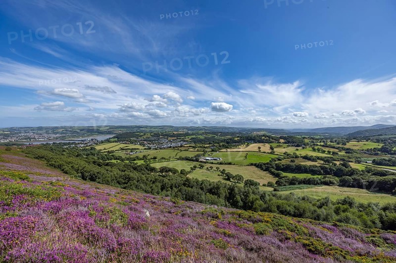 Panoramic view of Conwy Castle, ruins of the medieval castle on the River Conwy with surrounding hills and town, Conwy, County Gwynedd, Wales, United Kingdom