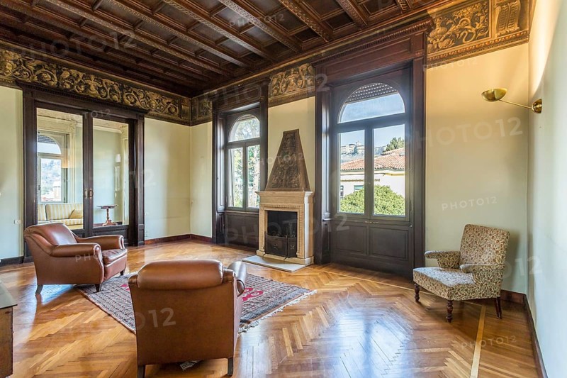 Interior of an ancient luxury house. Decorated wooden ceiling. Elegant fireplace. Living room