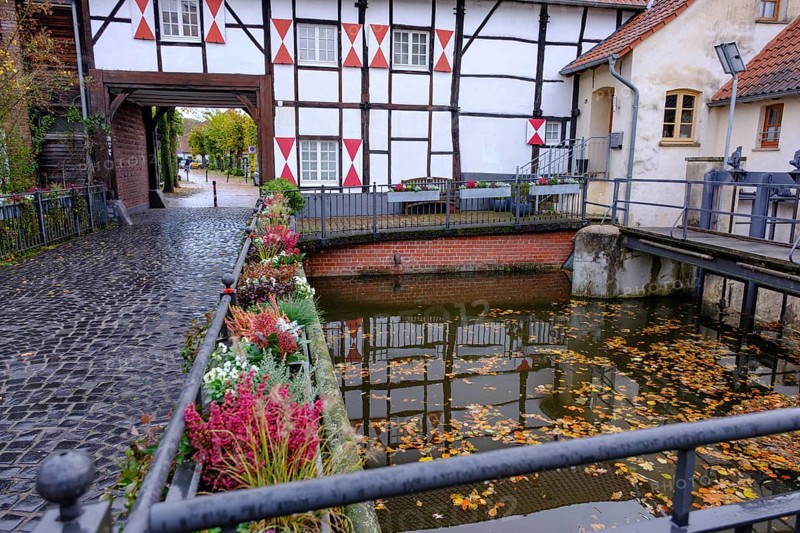 Canal with half-timbered house in the background and autumn leaves on the water, gemen, münsterland, germany