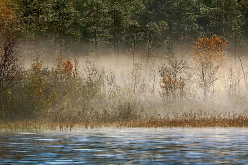 Gorgeous autumn landscape with river and misty forest, in the out-of-doors, boat trip on the river